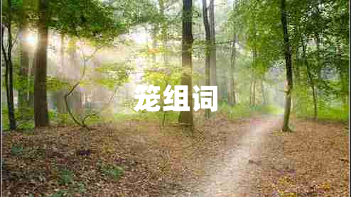 籠組詞