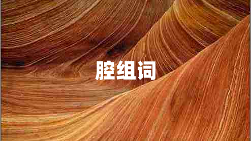 腔組詞