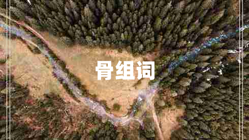 骨組詞