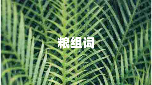 糧組詞