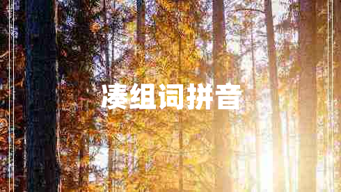 湊組詞拼音