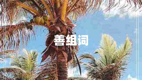 善組詞
