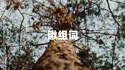 瞅組詞