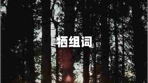 犧組詞