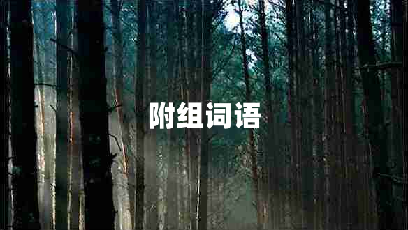 附組詞語