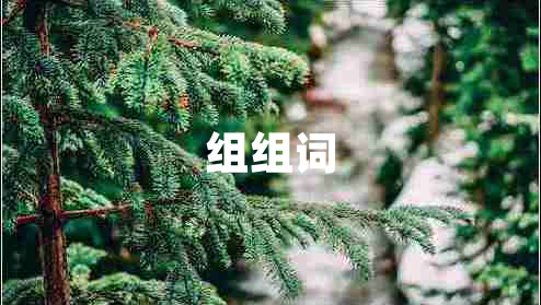 組組詞