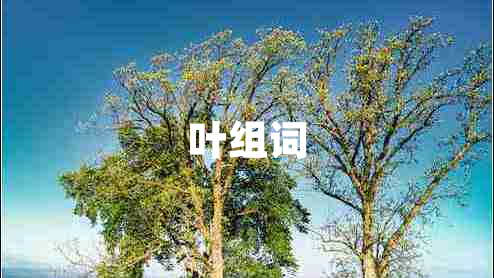 葉組詞