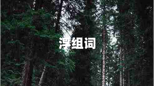 浮組詞