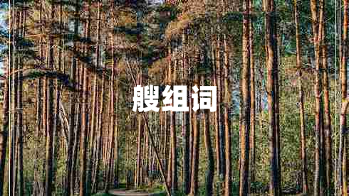 艘組詞