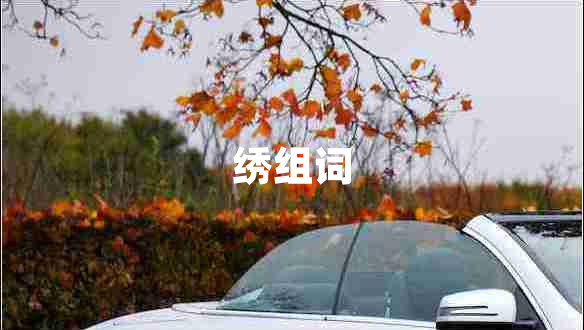 繡組詞