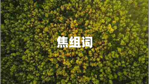 焦組詞