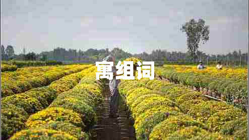 寓組詞