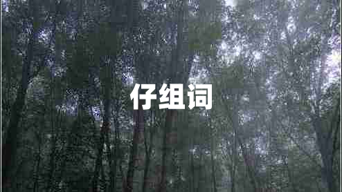 仔組詞
