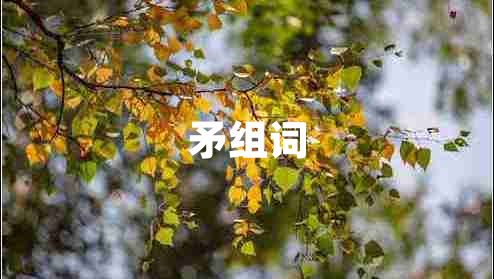 矛組詞