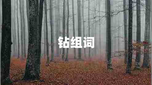 鉆組詞