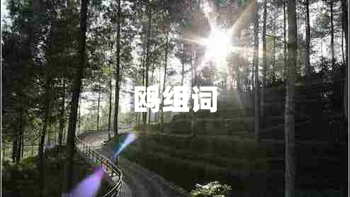 鷗組詞