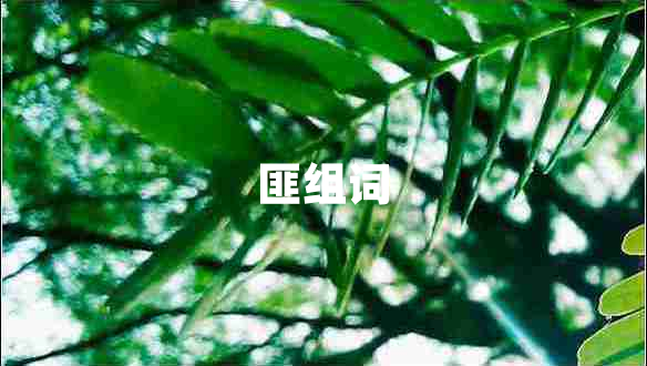 匪組詞