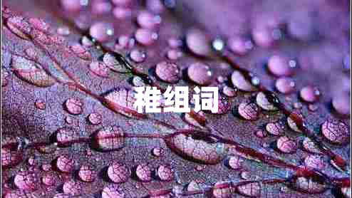 稚組詞