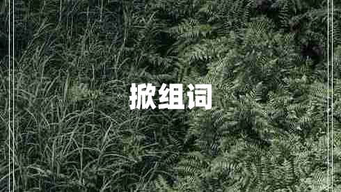 掀組詞
