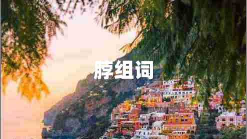 脖組詞