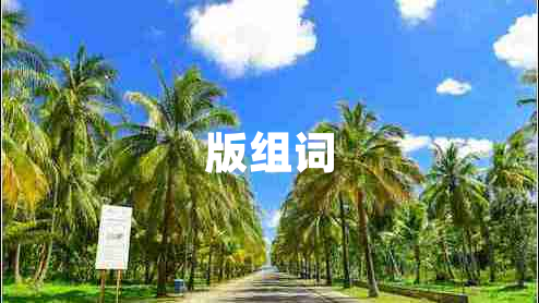 版組詞