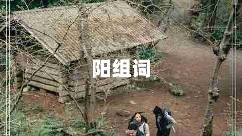 陽組詞