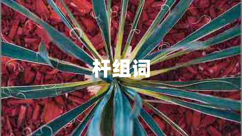桿組詞