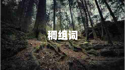 稠組詞