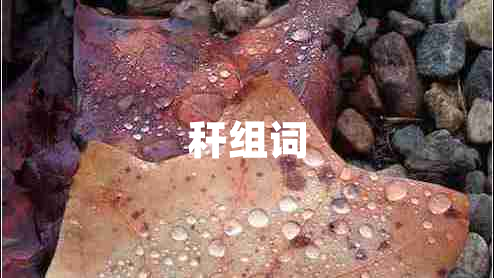 稈組詞