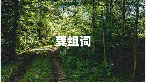 龔組詞