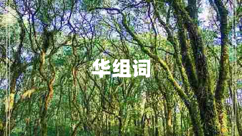 華組詞