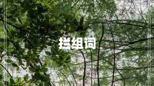 攔組詞