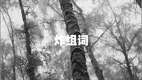 炸組詞
