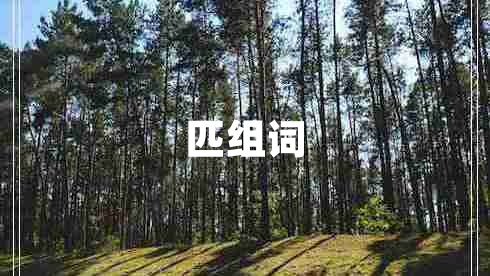 匹組詞