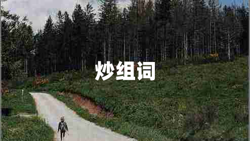 炒組詞