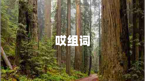 哎組詞