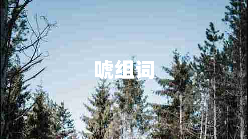 唬組詞