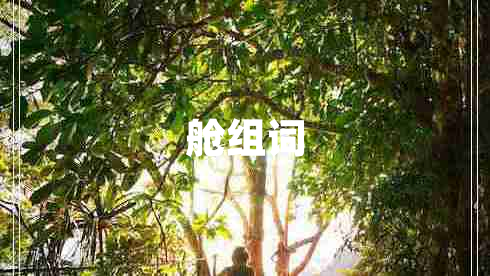 艙組詞