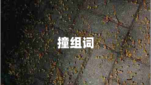 撞組詞