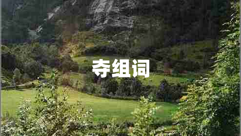 奪組詞