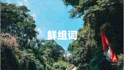 鮮組詞