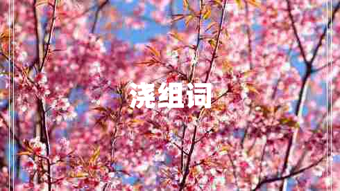 澆組詞