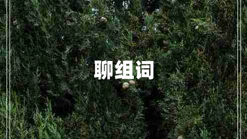 聊組詞