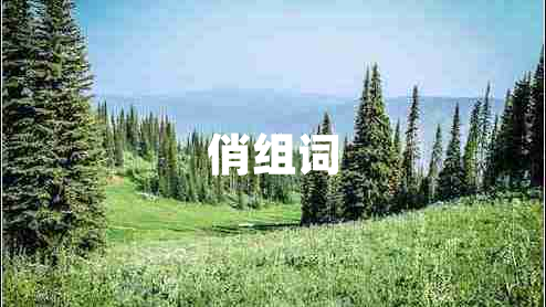 俏組詞
