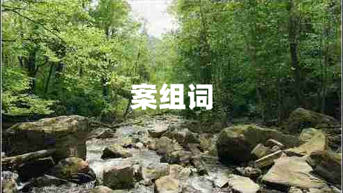 案組詞