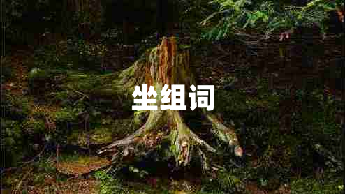 坐組詞
