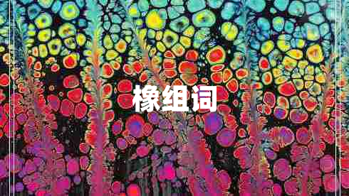 橡組詞