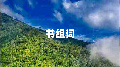 書組詞