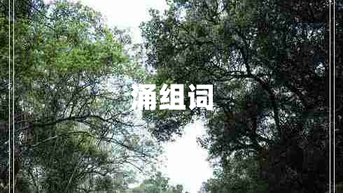 涌組詞