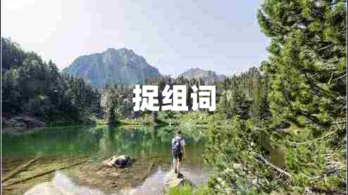 捉組詞